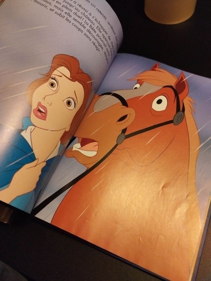 Livre Disney grand format la belle et la bête - photo numéro 2