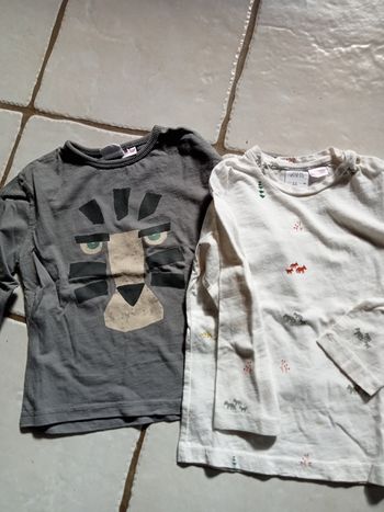 2 tee shirts manches longues  - 2/3 ans