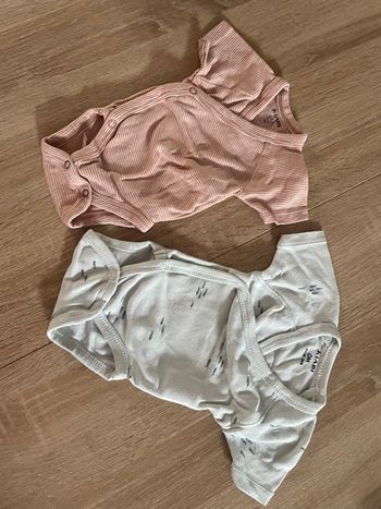 Bodies