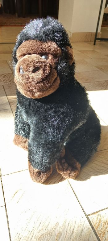 Peluche gorille Ikea