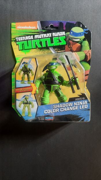 Teenage mutant ninja Turtles