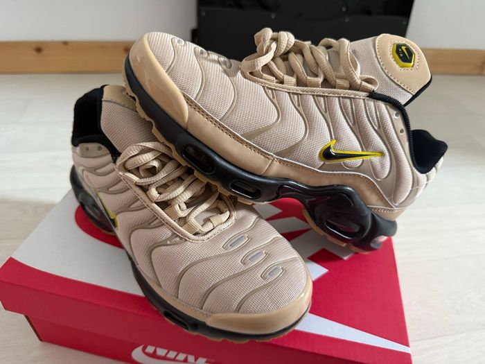 Tn basket - photo numéro 2