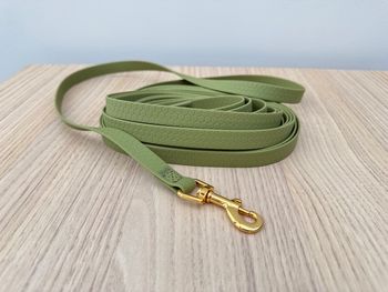 Longe de 6 mètres pour chien - biothane hexa [vert olive]