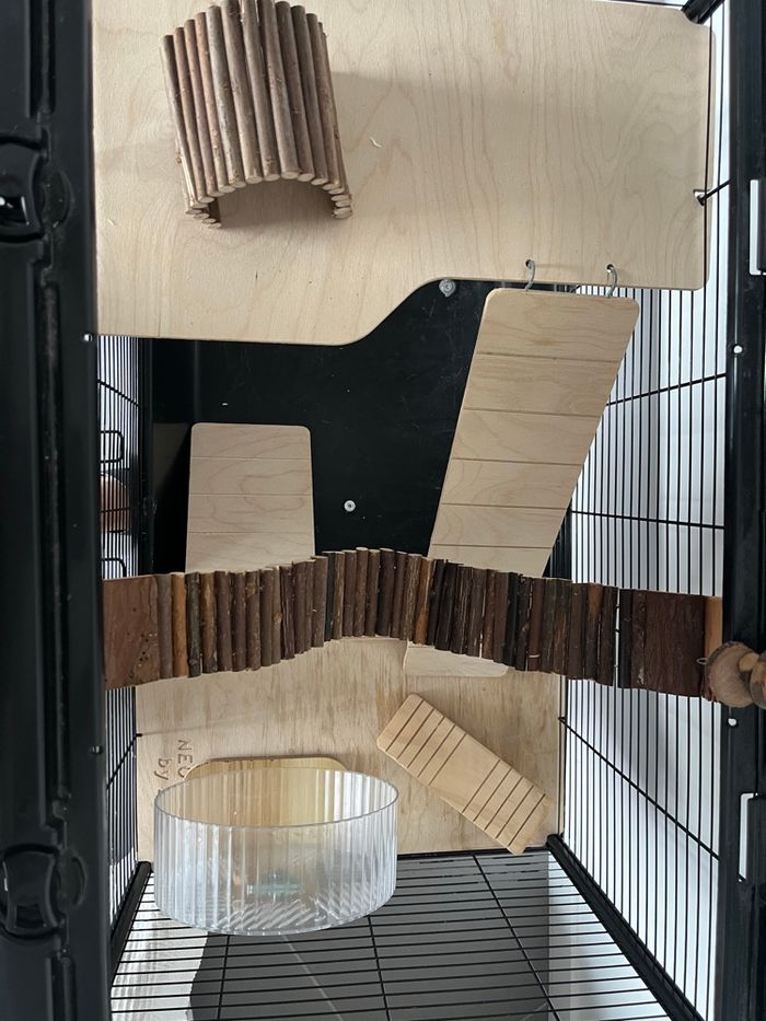 Set hámster - photo numéro 10