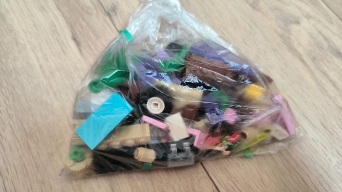 Lego Friends 41010 le buggy de plage d'Olivia - photo numéro 2