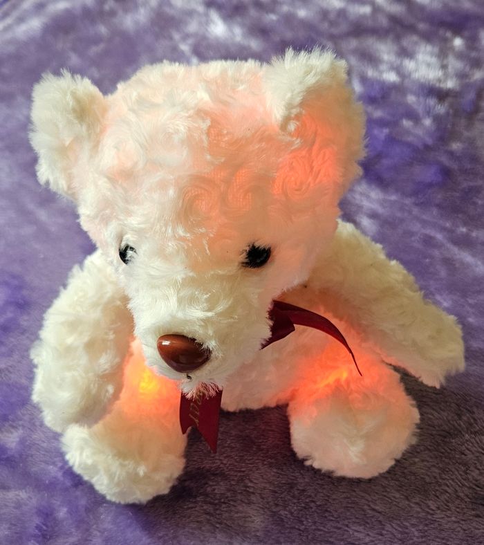 Peluche lumineuse personnalisé - photo numéro 6