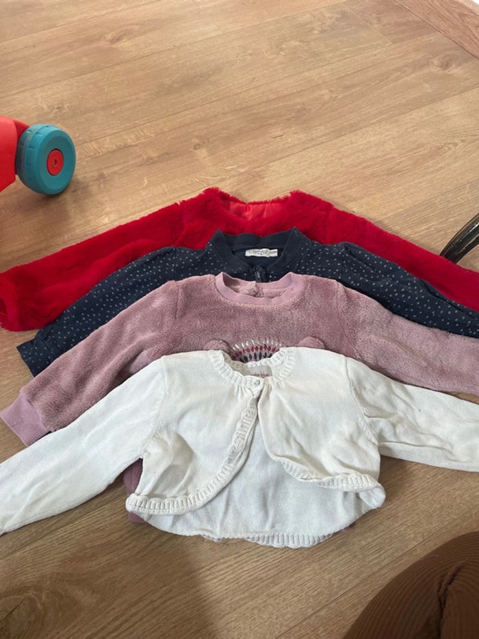 Lot pull / gilet