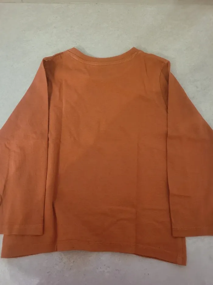 Tee shirt manches longues 4 ans - photo numéro 2