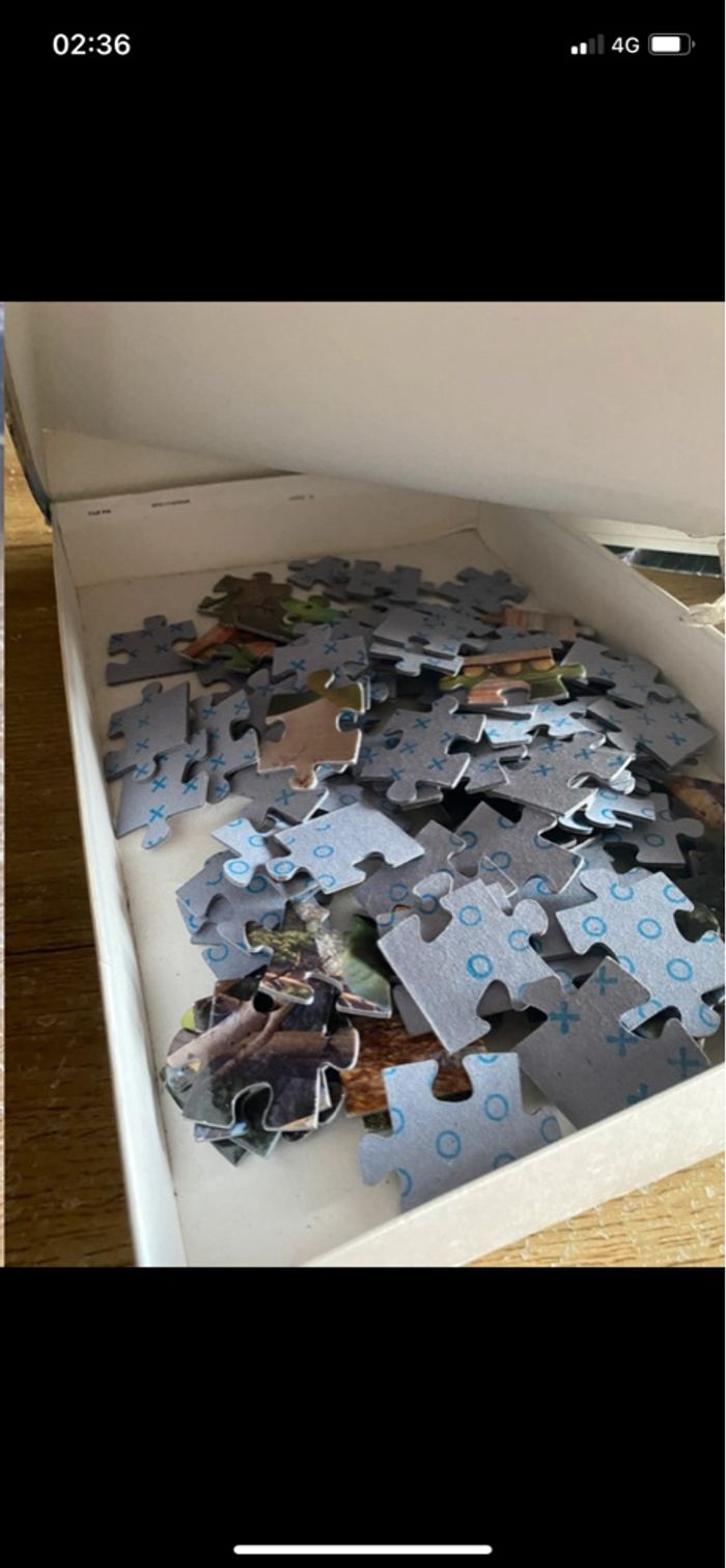 Puzzle the good dinausore - photo numéro 4