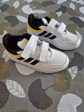 Bascket adidas blanche