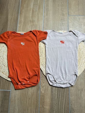 Lot 2 bodies 24 mois