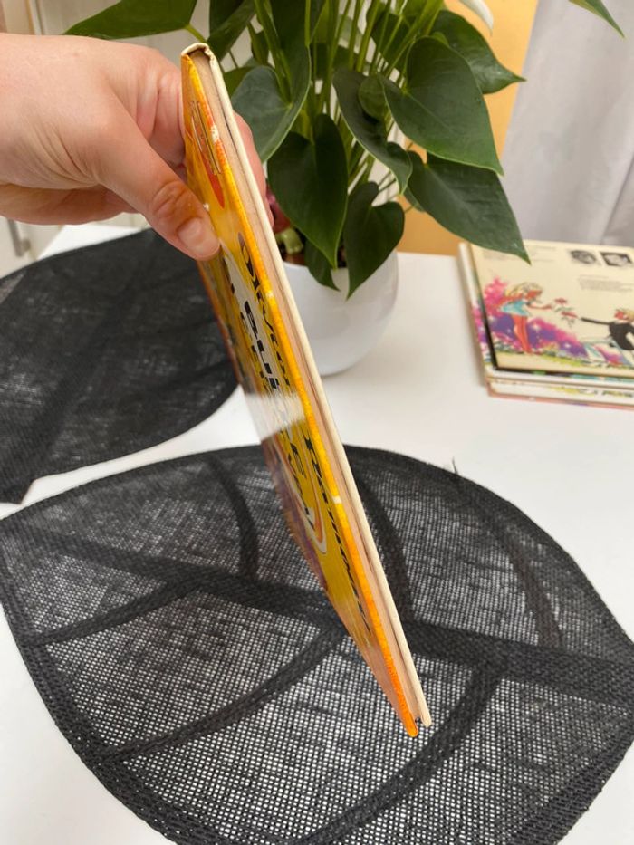 La bulle de si c’était vrai 🌸 - photo numéro 12