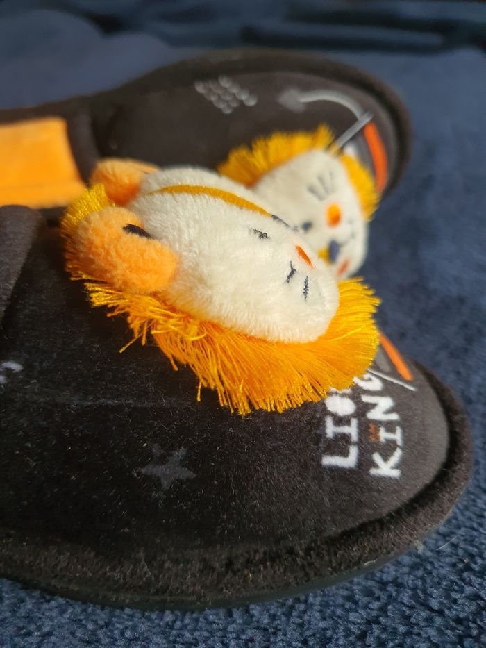 Chaussons Tams lion T29 jamais portés - photo numéro 2