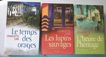 📚 Saga "Le temps des orages"