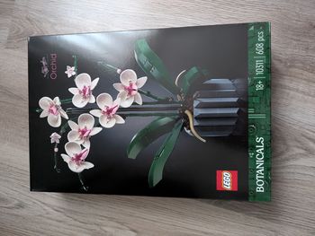 Lego orchidée 10311