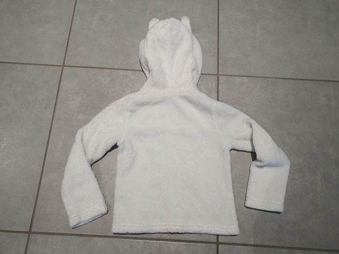 Veste chat - photo numéro 2