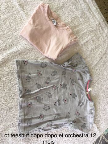 Lot 2 tee-shirts 12 mois