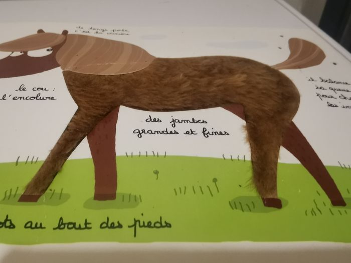 Livre Mon Poney-Club à toucher - photo numéro 5