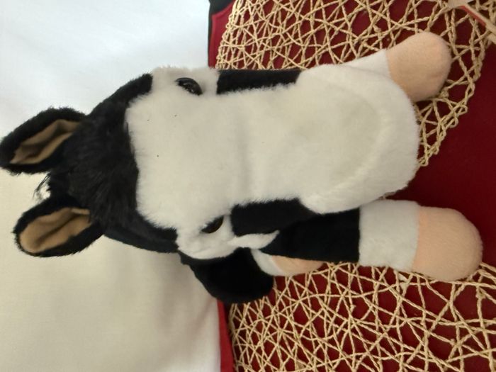 cheval noir et blanc buffalo grill