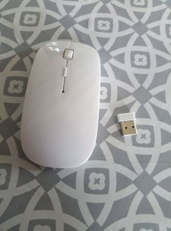 Vende souris pour ordinateurs