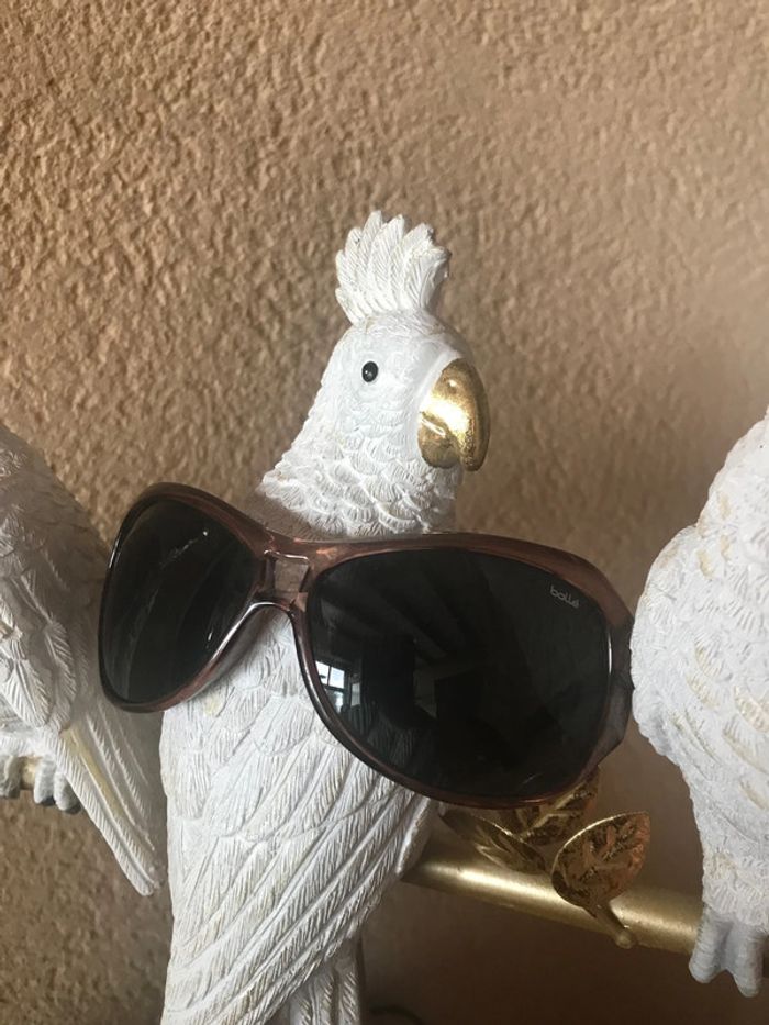 Lunettes de soleil marque bollé - photo numéro 2