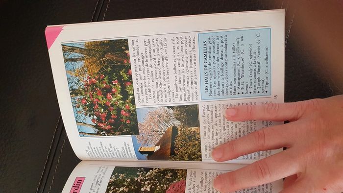 Livre " Camélias " Guide du jardin, de Kenneth A.Beckett - photo numéro 12