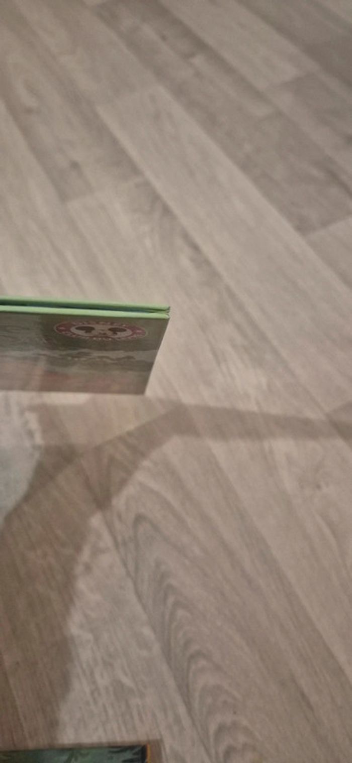 Lot de 3 livres - Winnie l'ourson - photo numéro 16