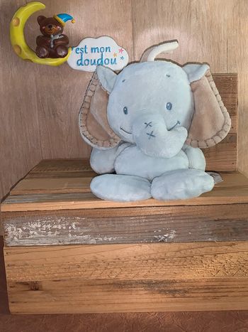 NT132 doudou éléphant 🐘  Nattou
