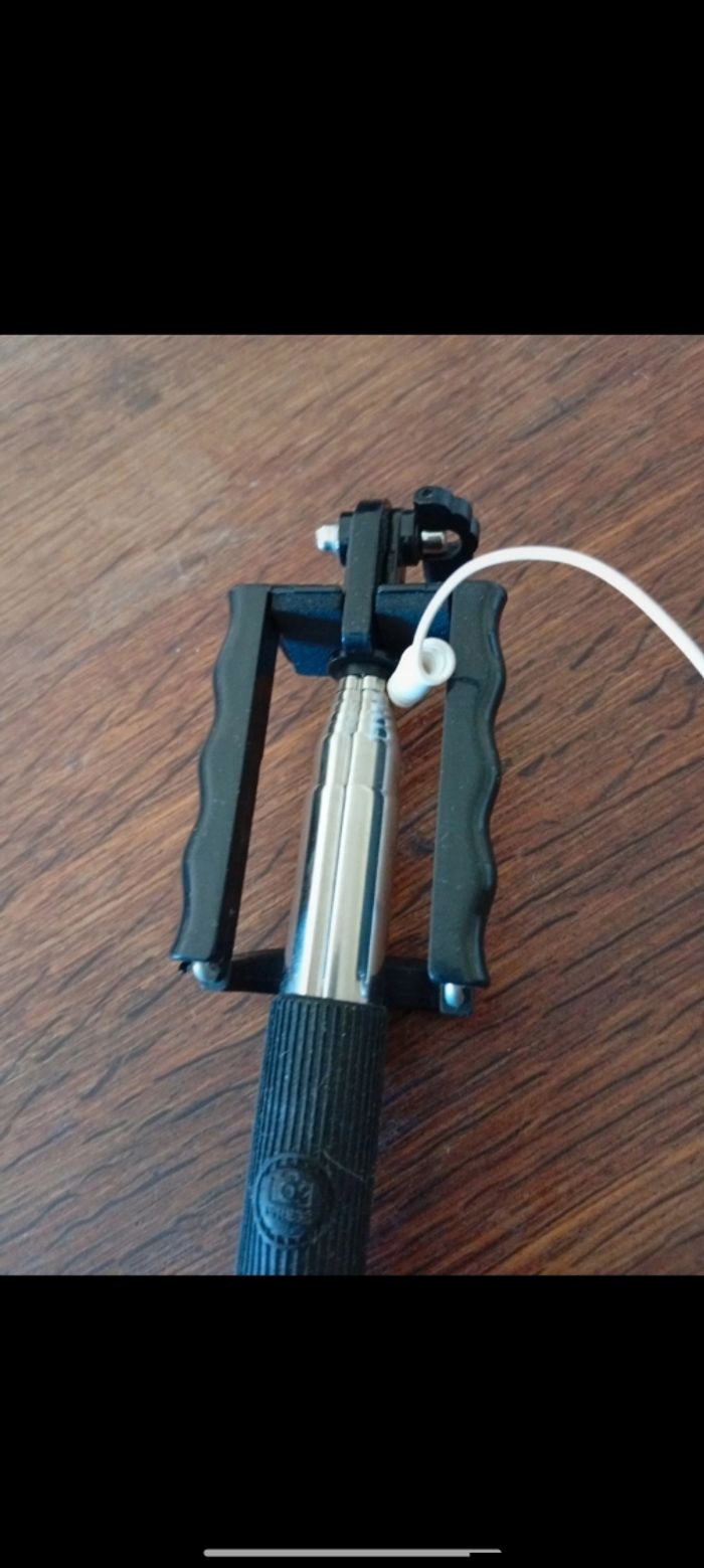 Perche a selfie - photo numéro 2