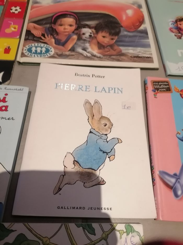 Livres enfants 1e à l'unité - photo numéro 9