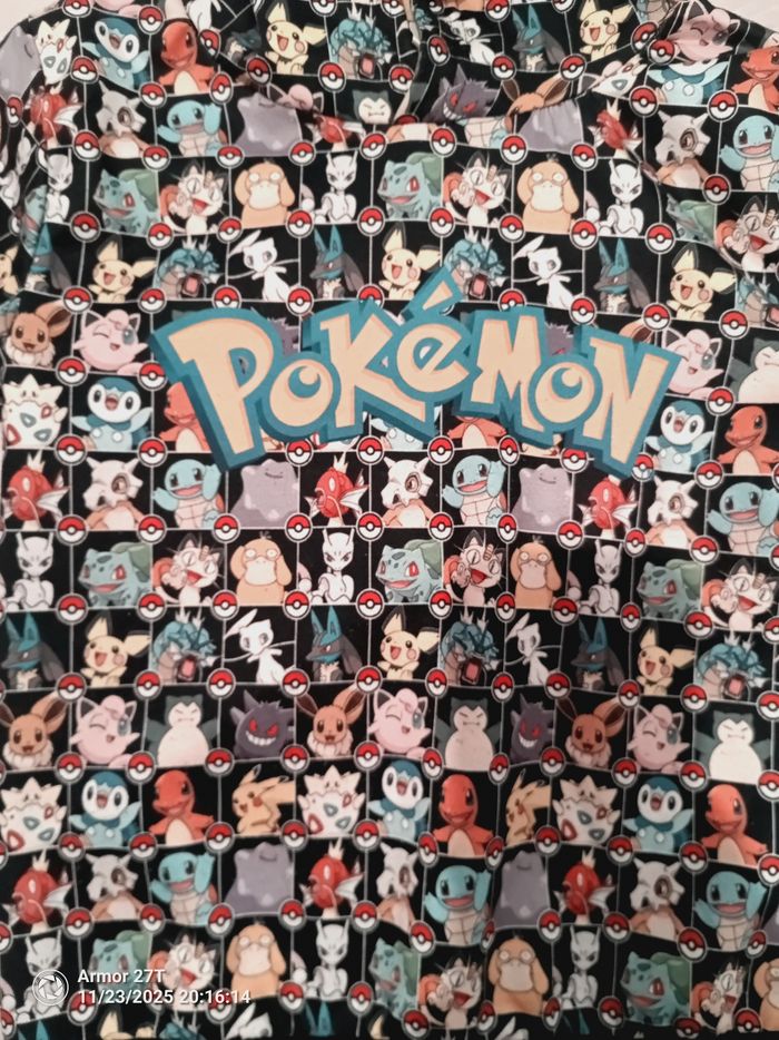 Pull pokémon - photo numéro 2