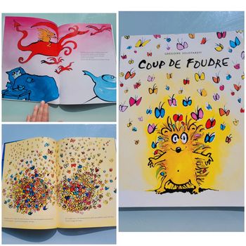 Livre , couverture souple, l'école des loisirs 💘 Coup de Foudre 🦋  3-6 ans (52)