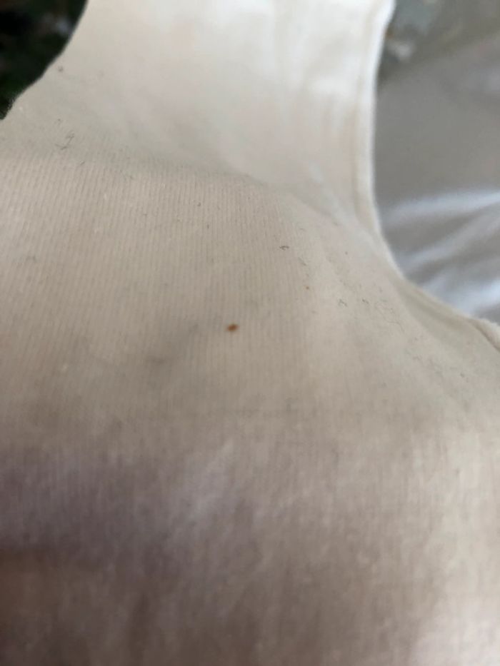 Haut blanc 38 - photo numéro 4