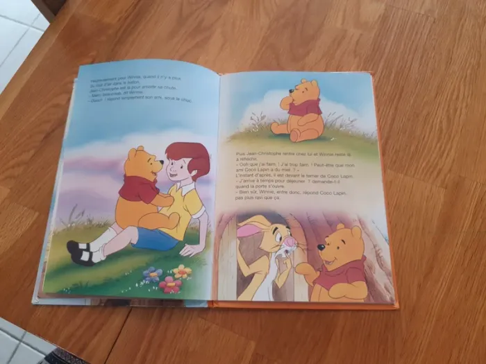 Lot livres disney - photo numéro 11
