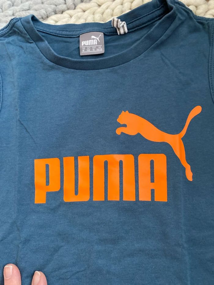 Marcel puma - photo numéro 2