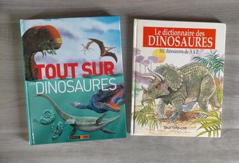 Lot de livres dinosaures