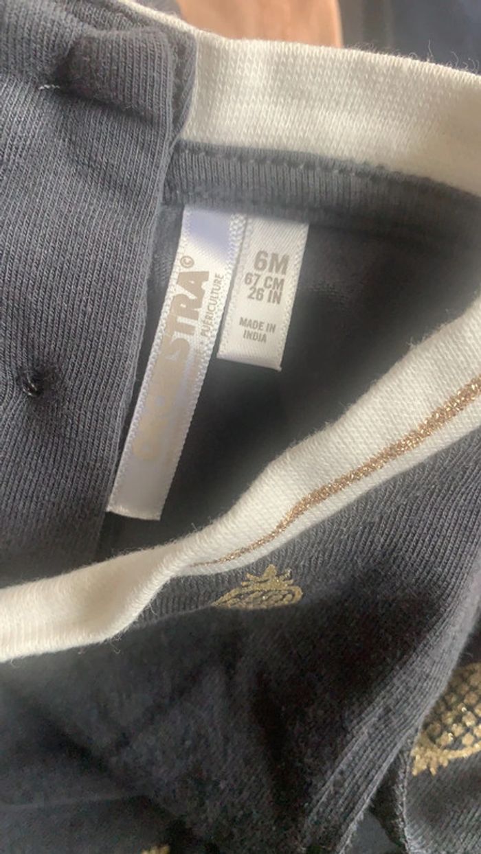 Combi ananas - photo numéro 2