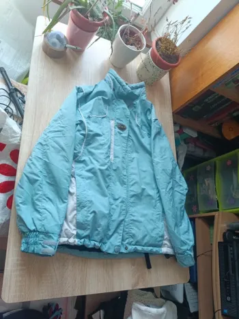 Veste de ski