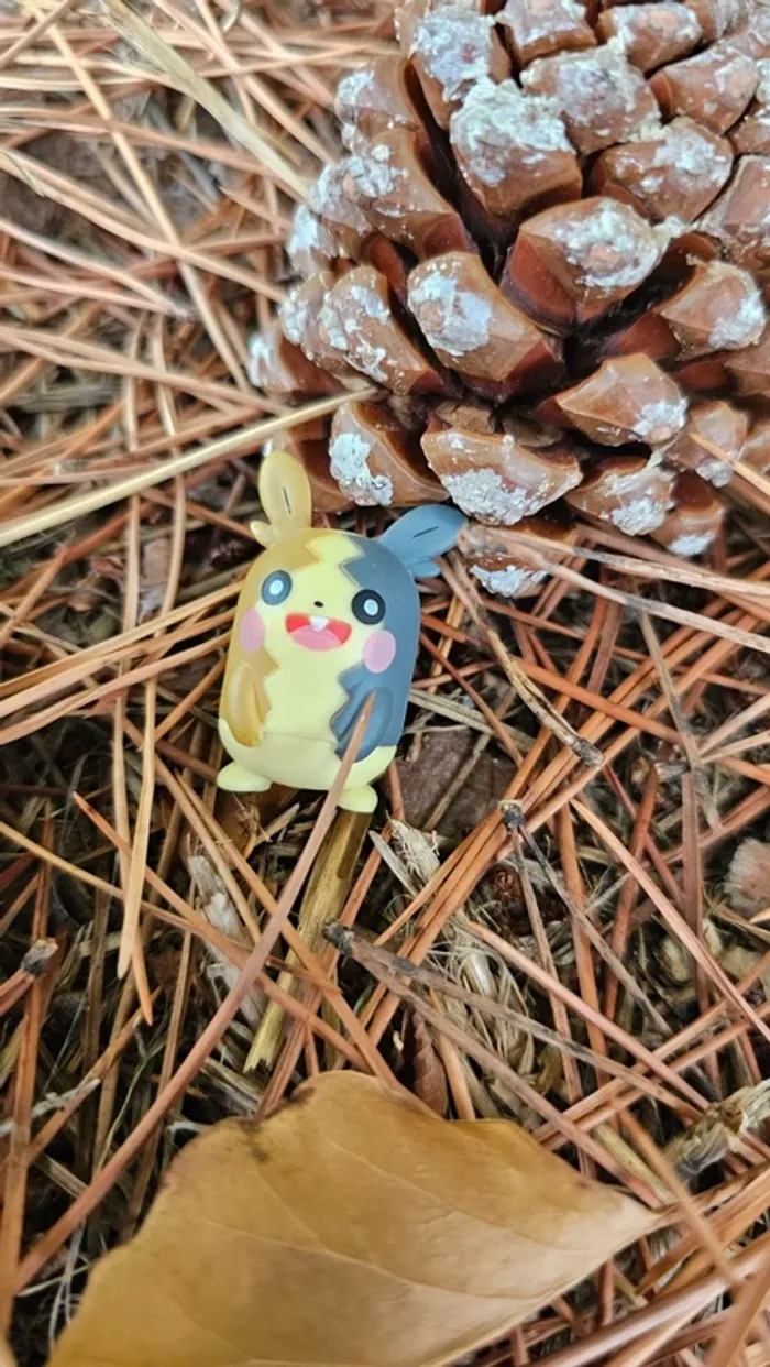 Super figurine Pokemon Nintendo Morpeko