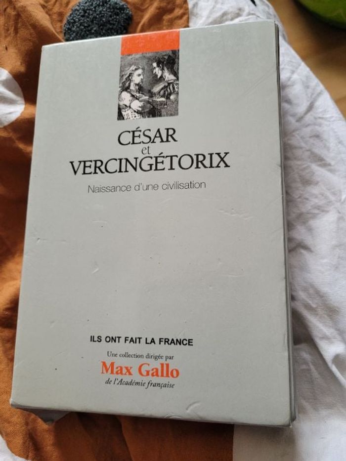 César et vercingetorix