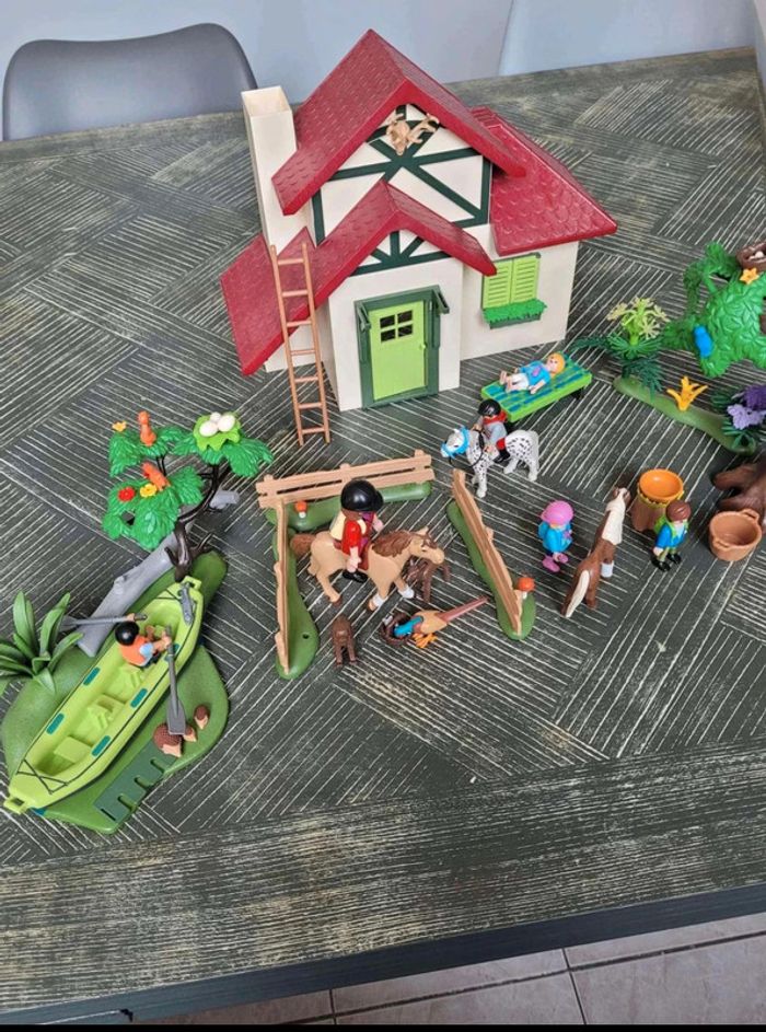 playmobil - photo numéro 2