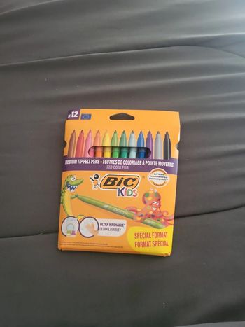 Feutre bic x12