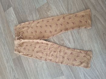 Legging In extenso 36 mois