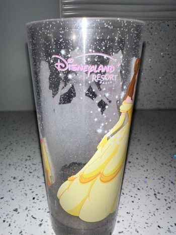 Verre Disneyland Les princesses