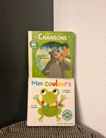 Lot deux livres