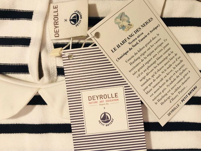 Marinière Deyrolle X Petit bateau T-12 ans - photo numéro 7