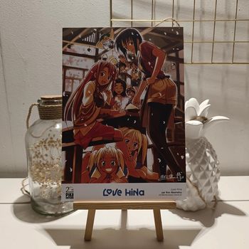 Ex-libris manga love hina 20 ans Pika