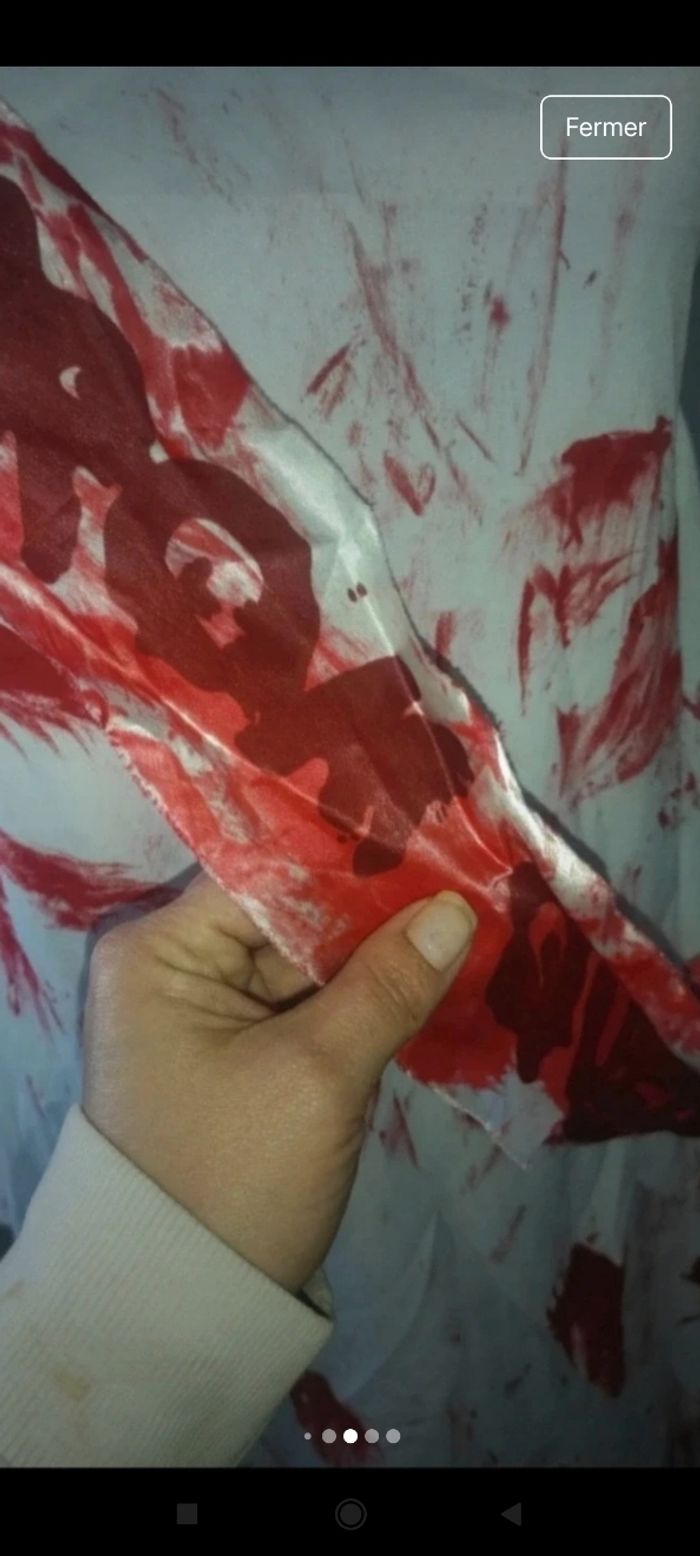 Déguisement femme f12 - photo numéro 8