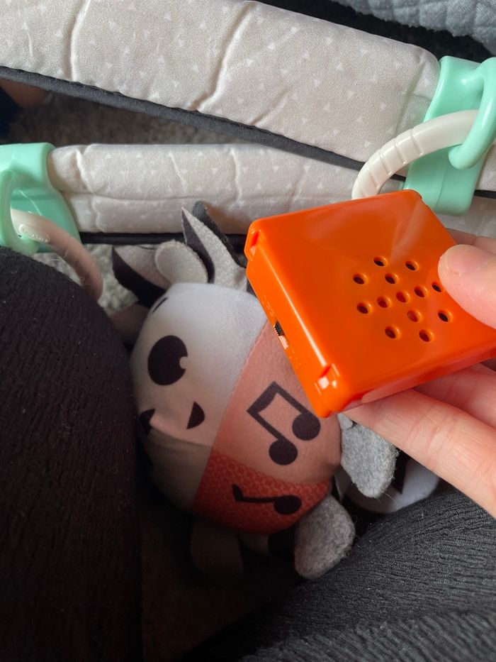 Tapis d’éveil Tiny Love - photo numéro 8