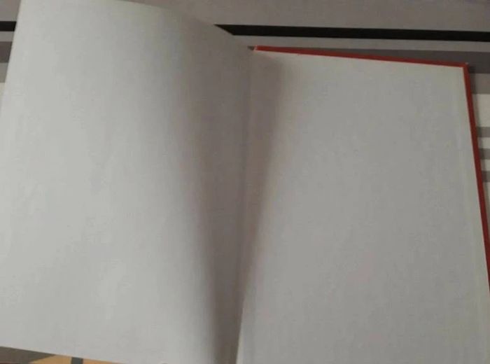 Livre : Bienvenue  chez les  Robinsons - photo numéro 5